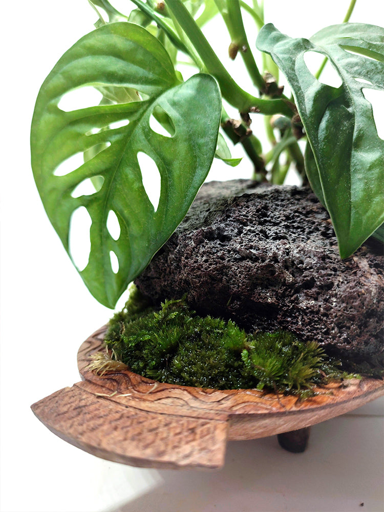 Soucoupe en bois gravée